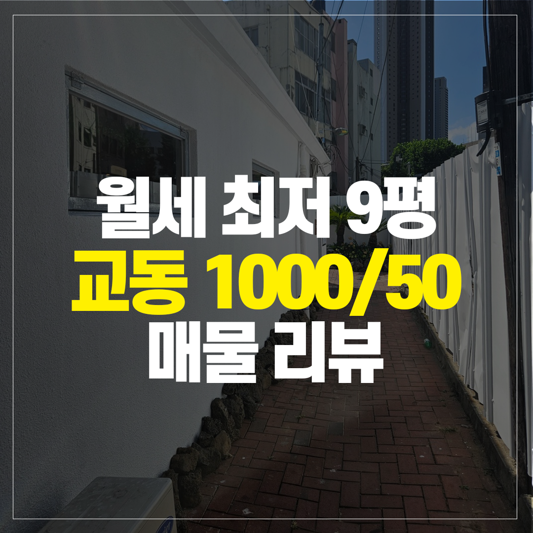 대구 동인동 29평 상가임대 정보, 중심 상권 리뷰 9 교동 월세최저